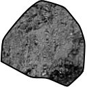 Coal